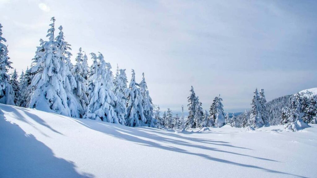 Погода на січень 2026 року: чи будуть сильні морози та сніг Погода на січень 2026 року